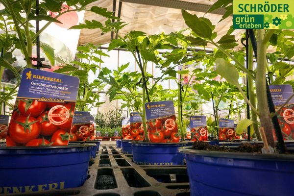 gartencenter04fruehling644B23800-7A88-67D8-135B-5DC6B122E5E8.jpg